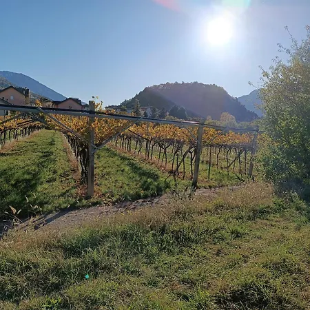 Appartamenti Moderni, Luminosi E Tranquilli Con Parcheggio Privato - Agritur La Tenuta Trient Exterior foto