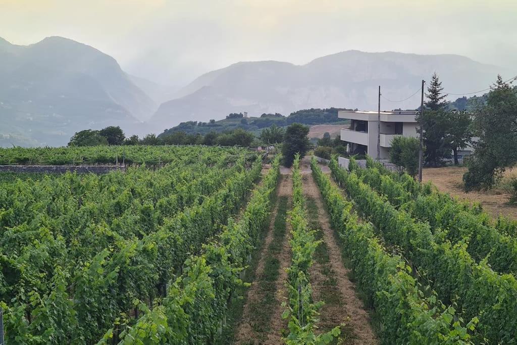 Moderni, Luminosi E Tranquilli Con Parcheggio Privato - Agritur La Tenuta Appartamento Trento