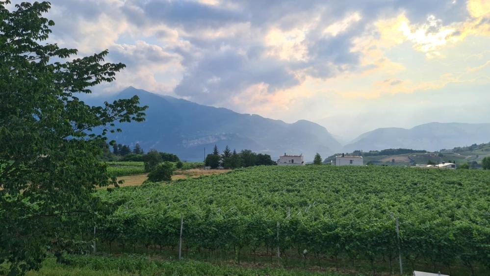 Moderni, Luminosi E Tranquilli Con Parcheggio Privato - Agritur La Tenuta * Trento