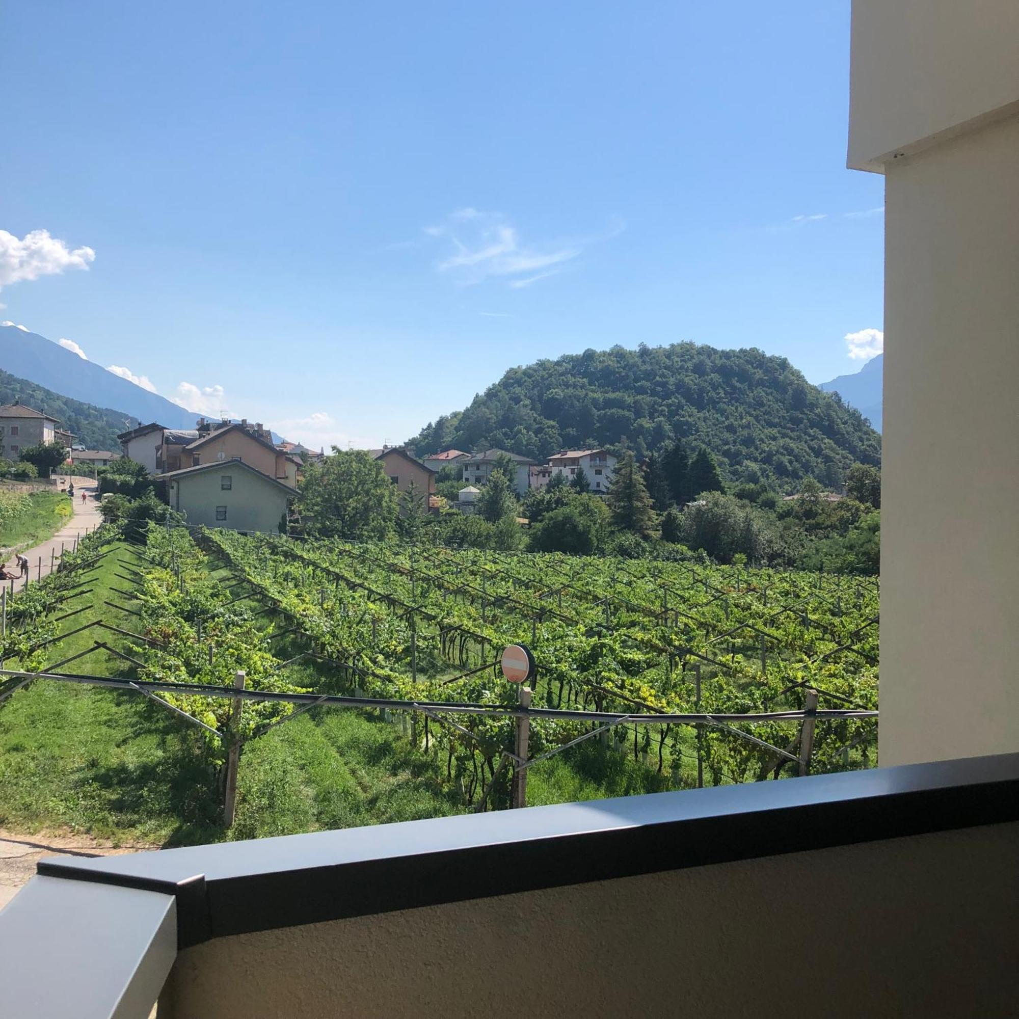 Moderni, Luminosi E Tranquilli Con Parcheggio Privato - Agritur La Tenuta * Trento