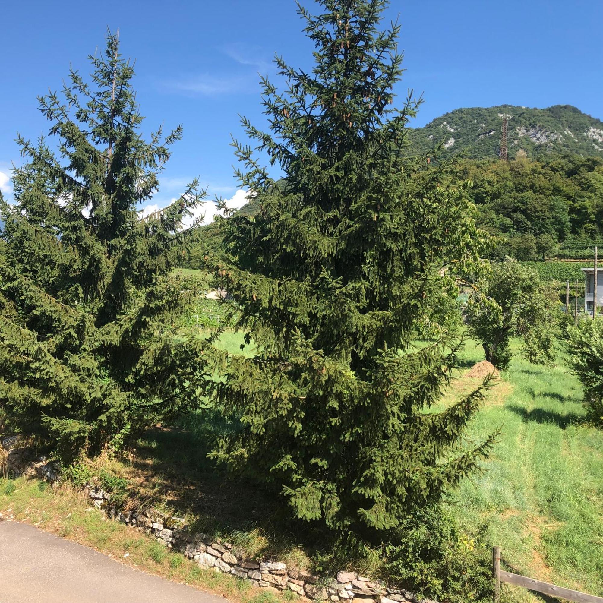 Moderni, Luminosi E Tranquilli Con Parcheggio Privato - Agritur La Tenuta