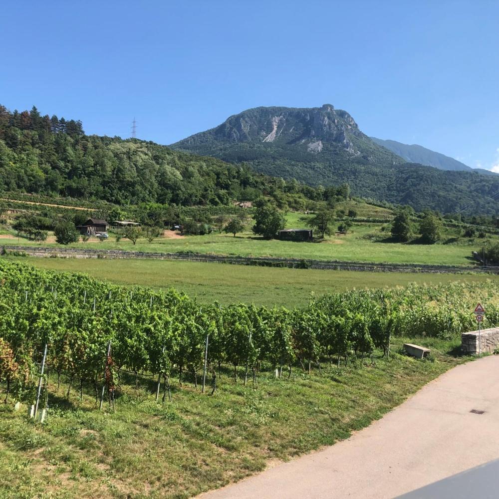 Appartamento Moderni, Luminosi E Tranquilli Con Parcheggio Privato - Agritur La Tenuta